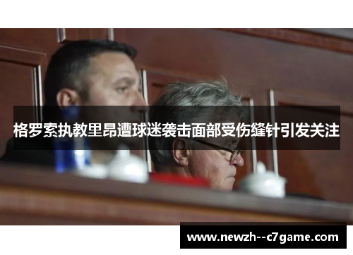 格罗索执教里昂遭球迷袭击面部受伤缝针引发关注
